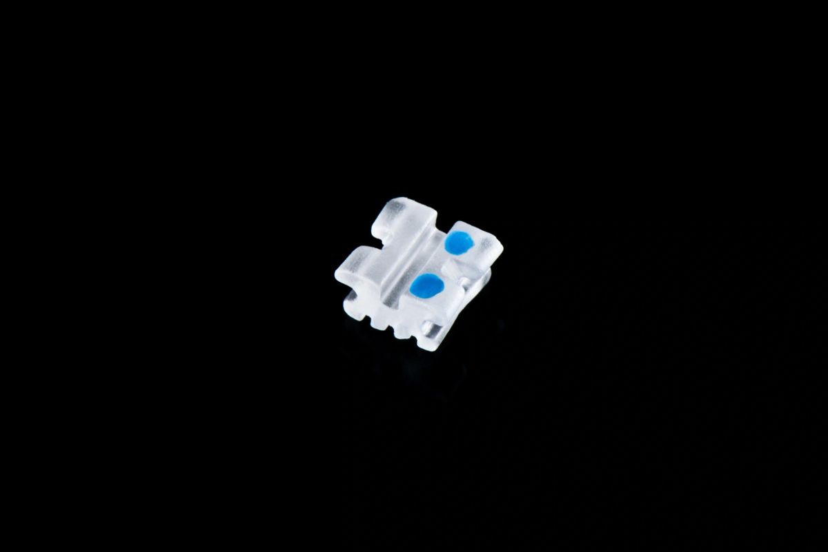 Papillon I (U/L 5-5)